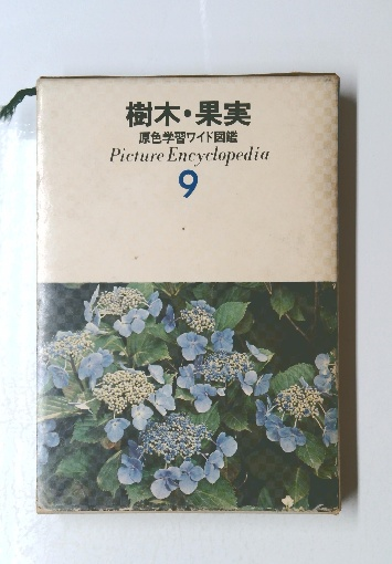 売れ筋アイテムラン 樹木 古本 / 9 Encyclopedia Picture 原色学習ワイド図鑑 果実 図鑑