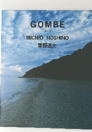 GOMBE　MICHIO HOSHINO