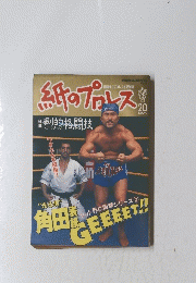 紙のプロレス　20