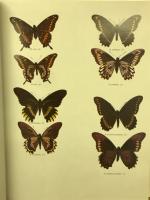 Butterflies of the Neotropical Region 　蝶類図鑑7冊セット