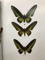 Butterflies of the Oriental Region 　蝶類図鑑３冊セット