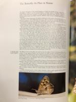 Butterflies of the Australian Region 　蝶類図鑑