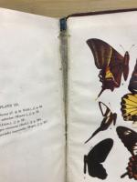 FAUNA OF BRITISH INDIA ―BUTTERFLIES