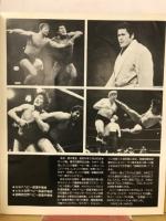 新日本プロレスリング　'80ブラディ・ファイト・シリーズ