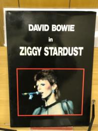 DAVID BOWIE in ZIGGY STARDUST
