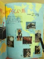 こども家の光　-家の光昭和38年6月号付録