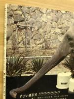 こども家の光　-家の光昭和38年6月号付録
