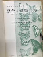 原色日本蝶類図鑑