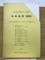向原遺跡　奈川県立埋蔵文化財センター調査報告　