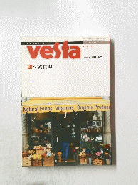 vesta  2007 Summer