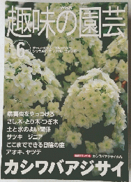 趣味の園芸　2001年6月号
