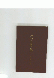 一つの青春