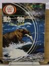 生物の世界　動物　くらしと仲間
