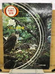 鳥 : くらしとなかま