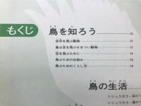 鳥 : くらしとなかま