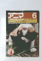 アニマ　6