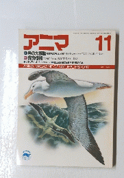 ANIMA　アニマ　1987年11月号