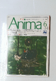 Anima　アニマ　1992年6月号　No.237