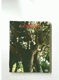 Coralway　1994年若夏号