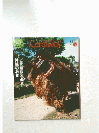 Coralway　2010年7月号