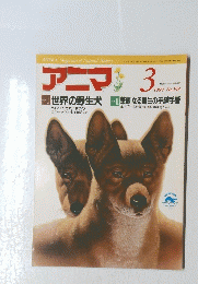 アニマ　1989年3月号