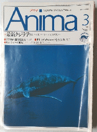 Anima　3　1991年3月号