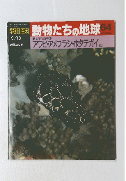 朝日百科　動物たちの地球　64