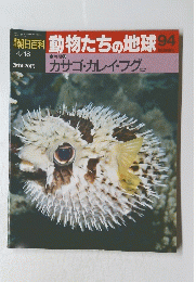 朝日百科　動物たちの地球　94