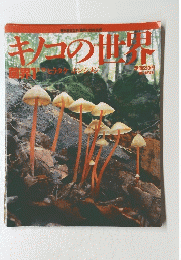 キノコの世界