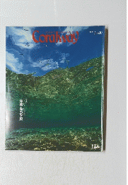 Coralway　１９９９年真南風号