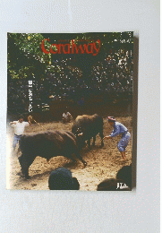 Coralway　1999年新北風号