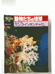 朝日百科　動物たちの地球62