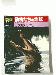 動物たちの地球　101　リクガメ・ワニ