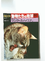 朝日百科　動物たちの地球　50　マングース・ハイエナ