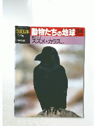 朝日百科動物たちの地球　34　スズメ・カラスほか