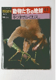 動物たちの地球　41