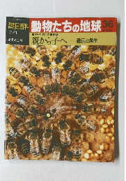 朝日百科動物たちの地球36　3月1日号