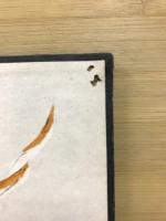 師子王全集