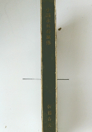 小説永井荷風傳