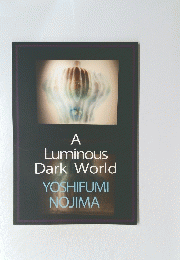 A Luminous Dark World