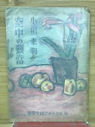 空中の芸当