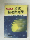 文法 精選問題集
