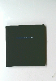 Silvia Minio-Paluello Yasuda 'Il Sereno del Cielo'