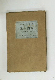 光の間樹