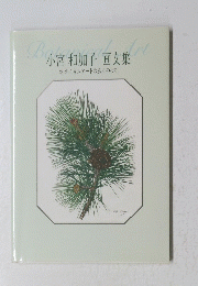 小宮 和加子 画文集