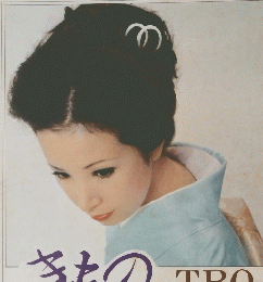 きもののTPO きもの姿帯姿/帯の地質