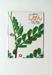 しぜん てんとうむし