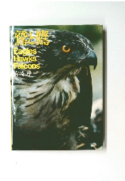 鷲と鷹　Eagles Hawks Falcons