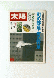 太陽　1981年5月号