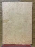 人間長谷川流棒術